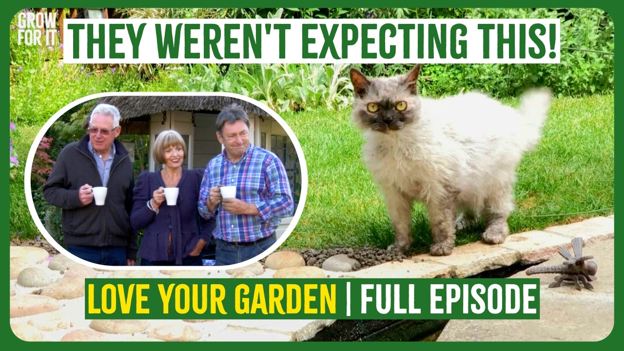 Секретный сад, спрятанный за обычным бунгало! | Love Your Garden | ПОЛНЫЙ ЭПИЗОД