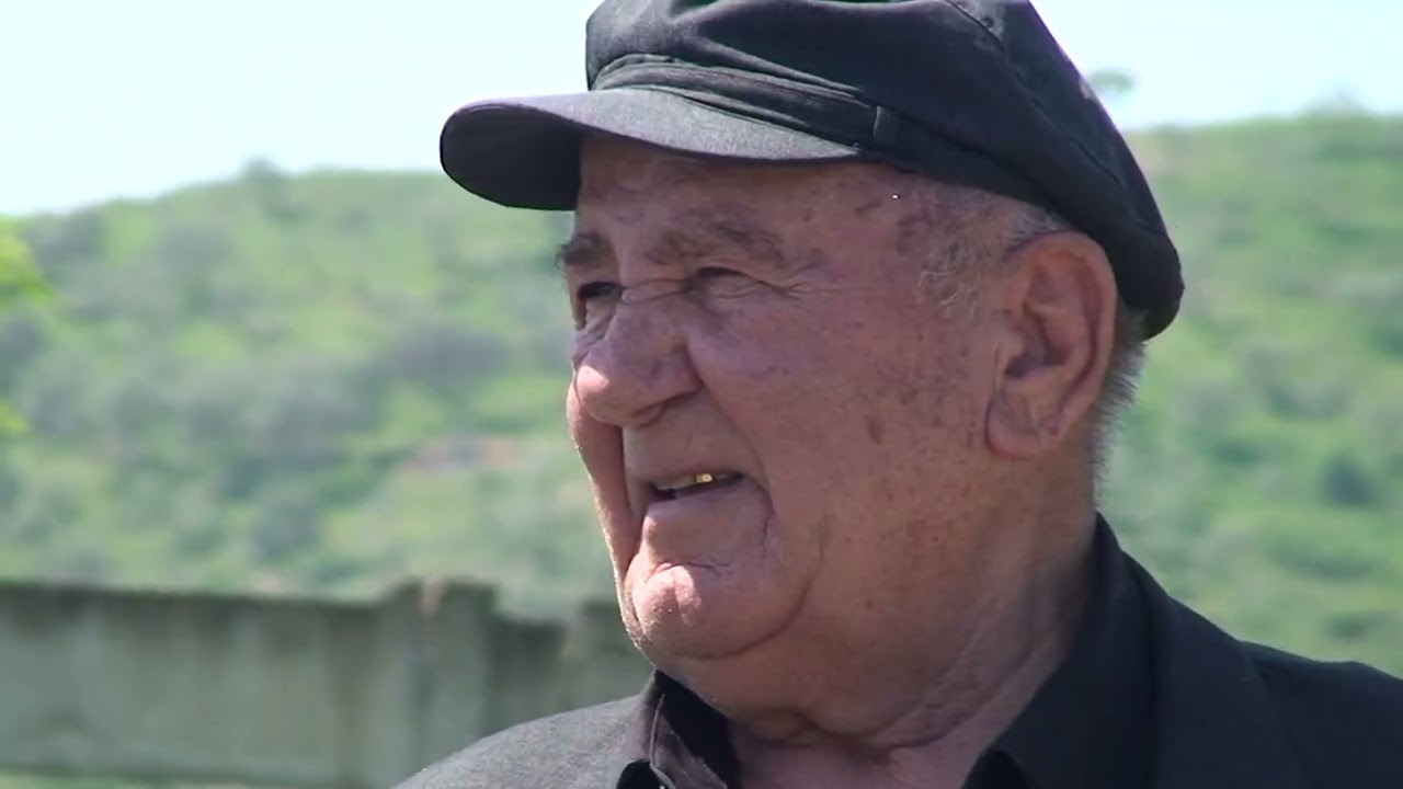 BREZAT QË NUK VDESIN KURRË