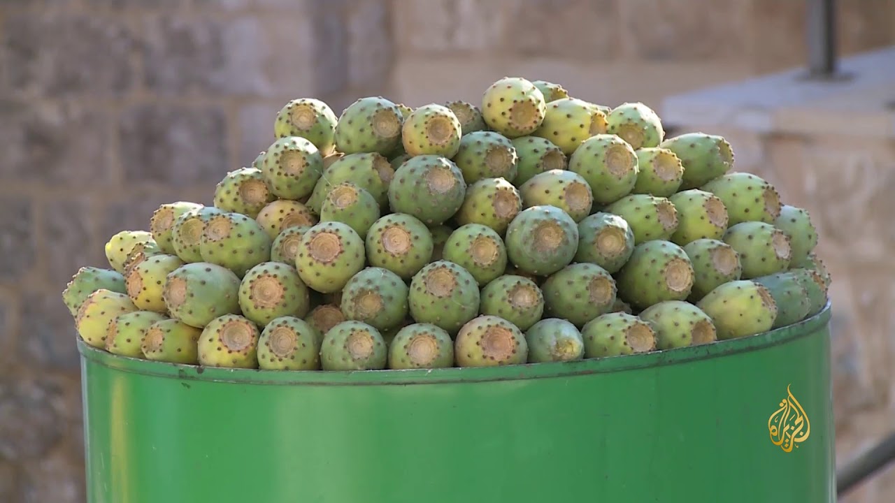 هذا الصباح-