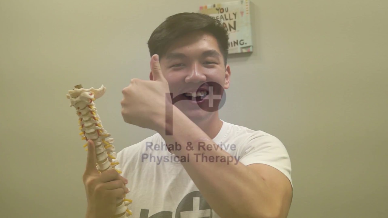 A Pelvic Exercise for Back Pain?!? | Pelvic Clock Exercise