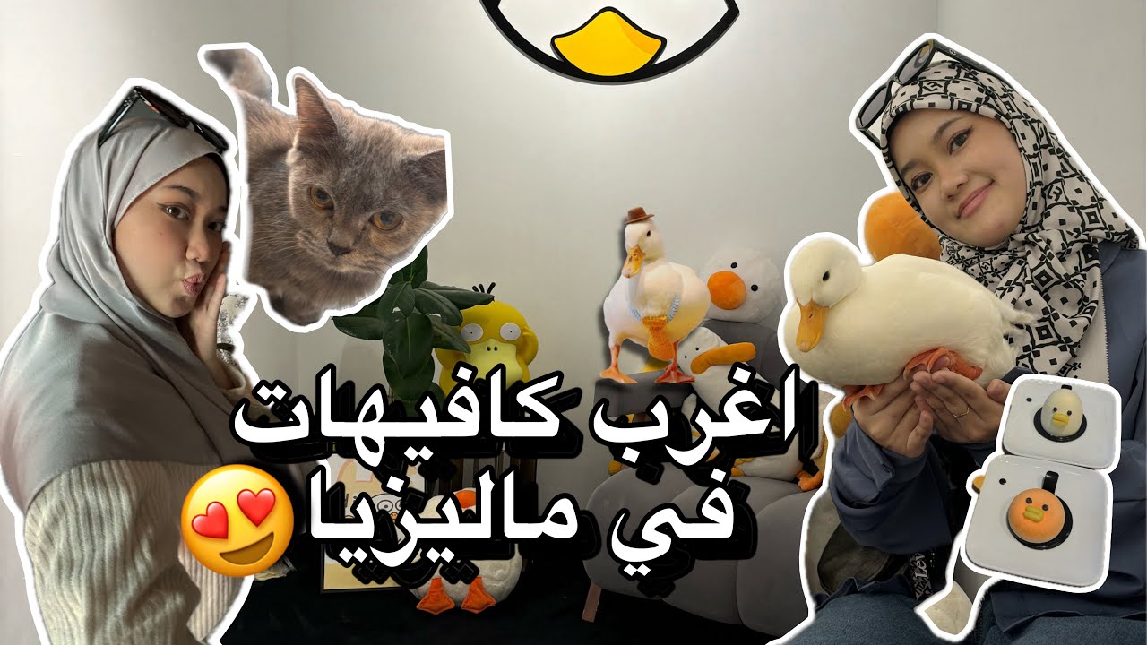 رحنا لاغرب كافيهات موجودة في ماليزيا ☕️