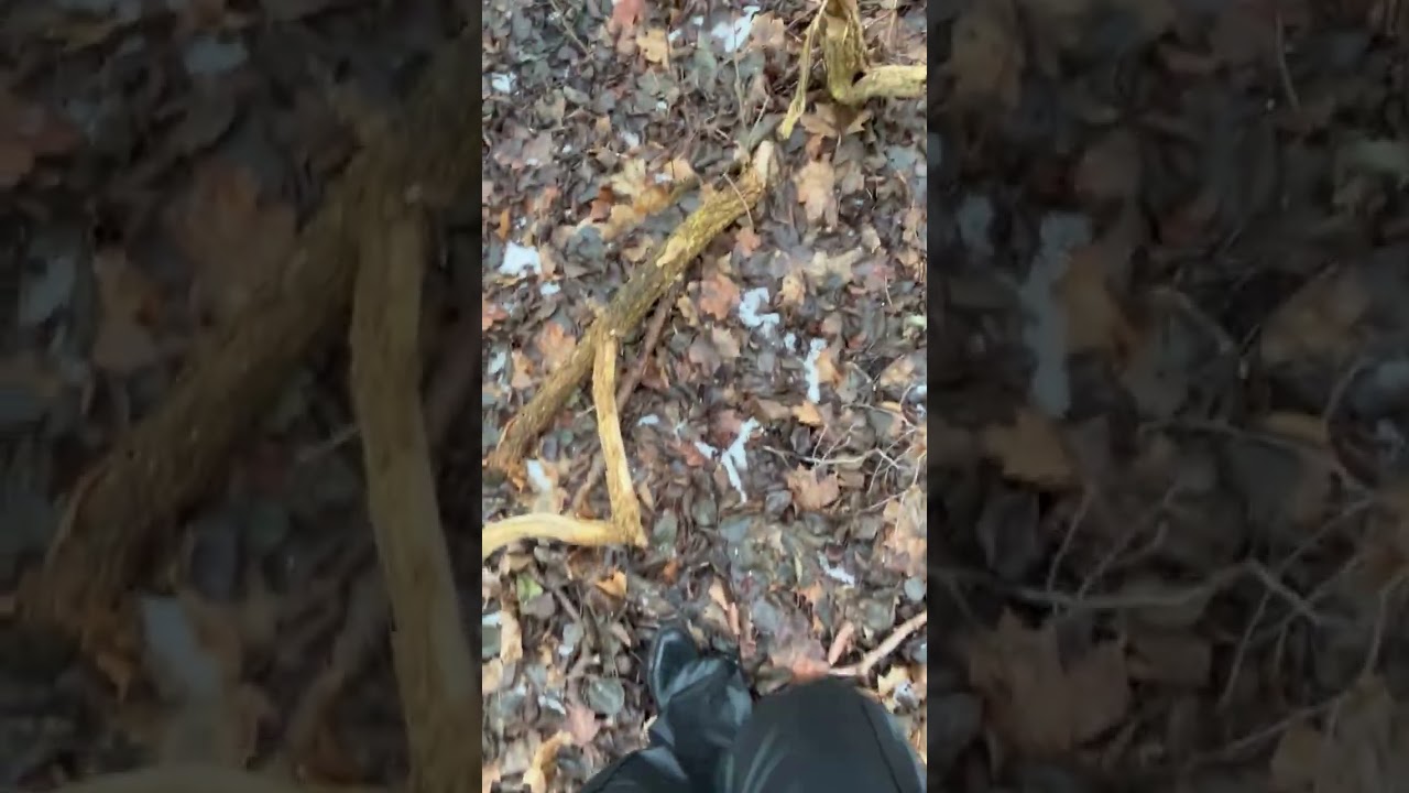 boots in frozen mud
