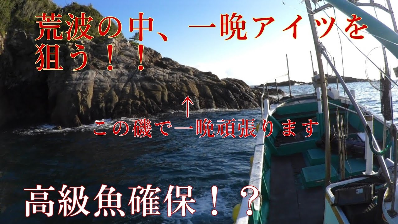 【波高】うねりの中、南海の大物を狙い打つ！開始早々、高級魚が釣れるも、、、