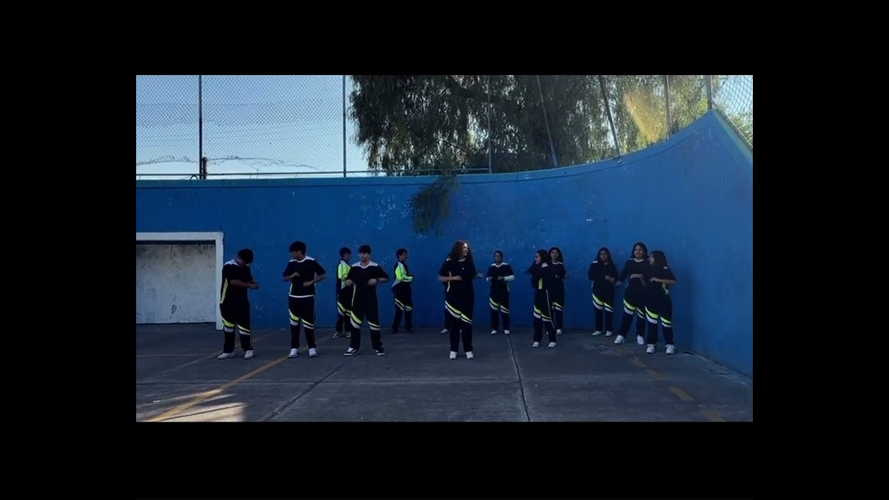 Proyecto escolar 
