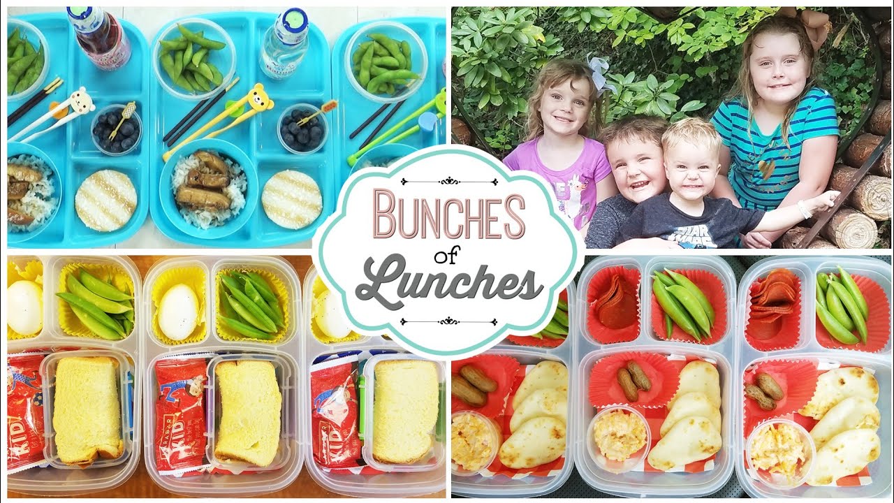 AMAZING Traveling Lunches 😎 Bunches of Lunches
