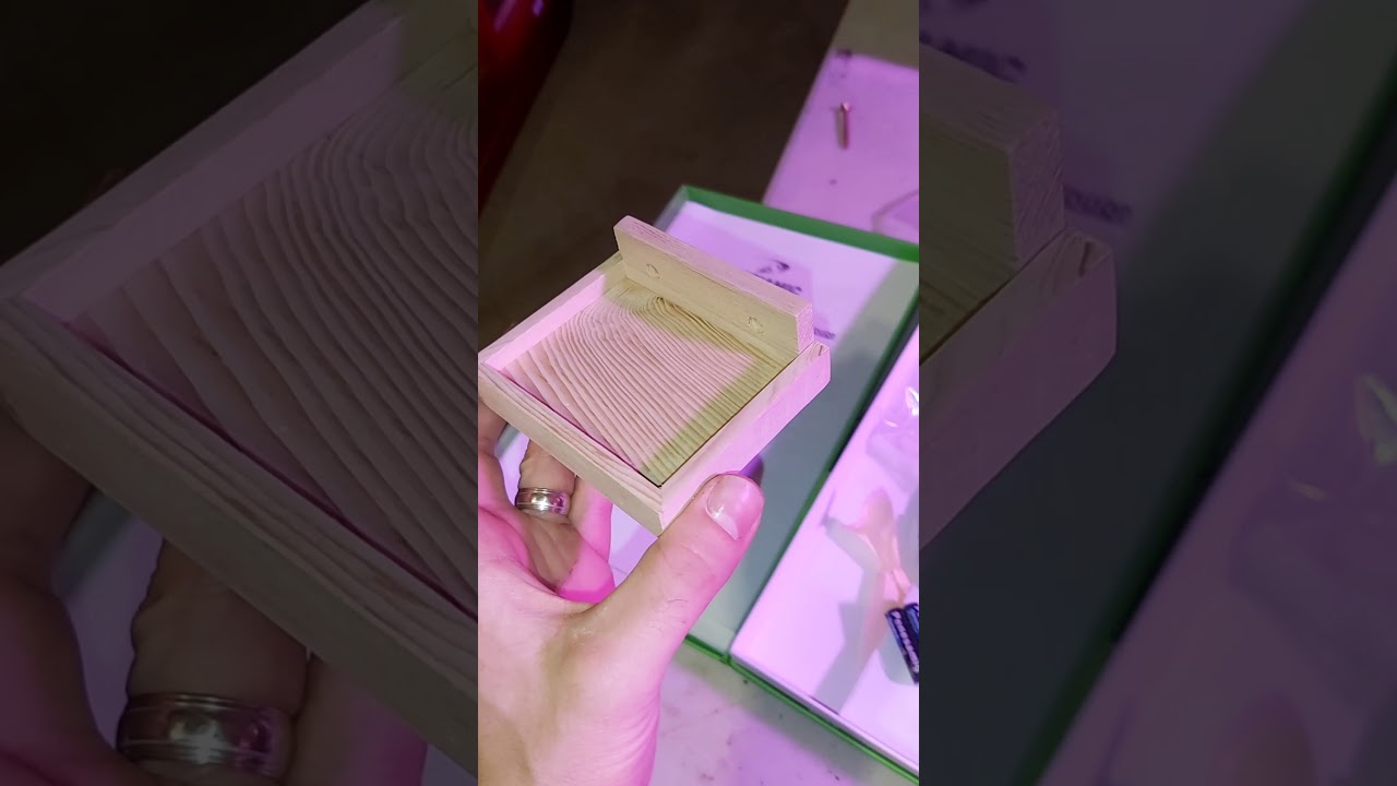 Dynamic Sauna Assembly