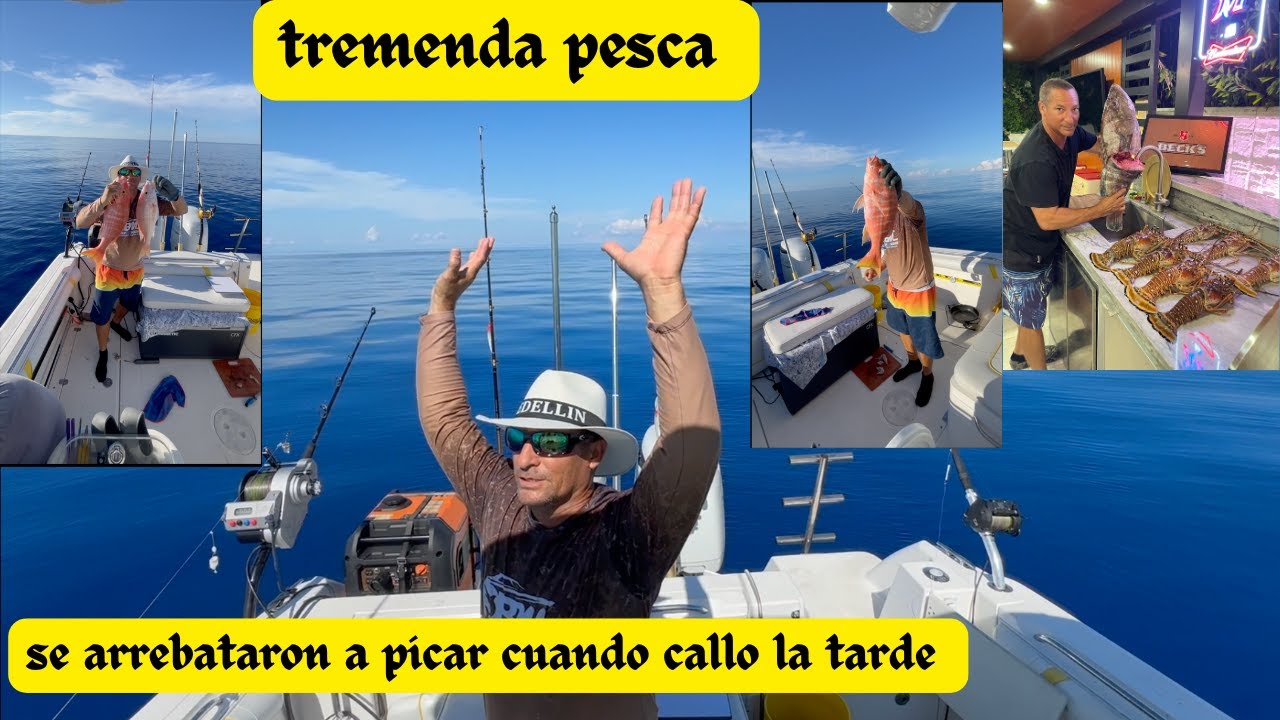 🎣SE VOLVIO 🙌LOCA LA🐟 PICADA 🐠CALLENDO LA TARDE