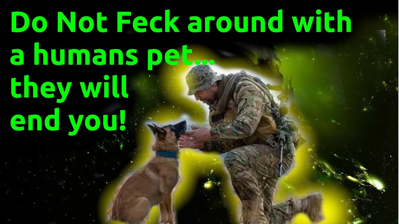 Human Narrated: The battle companions are off limits & Translation errors | 2908 | HFY