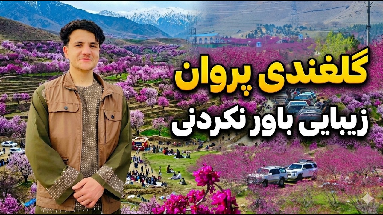 Gul Ghondi | Parwan | Afghanistan | زیبایی باورنکردنی گلغندی پروان