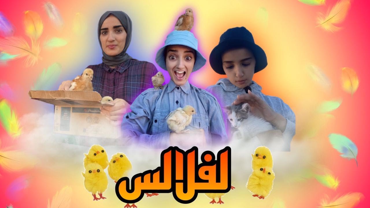 سلسلة أحمد (شراتلو ماماه لفلالس 🐥)😂