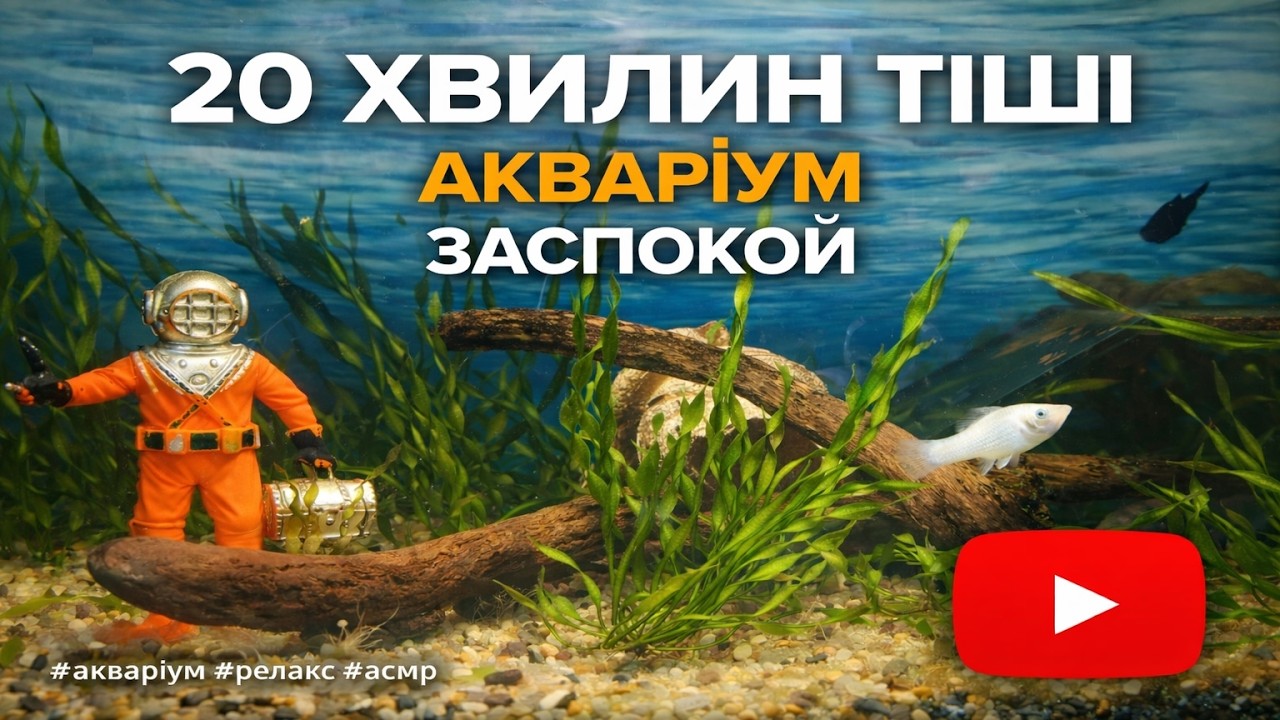 22:22 хвилини тиші для голови і дзену #акваріум #домашнійакваріум #рибки #равлики #релакс #asmr