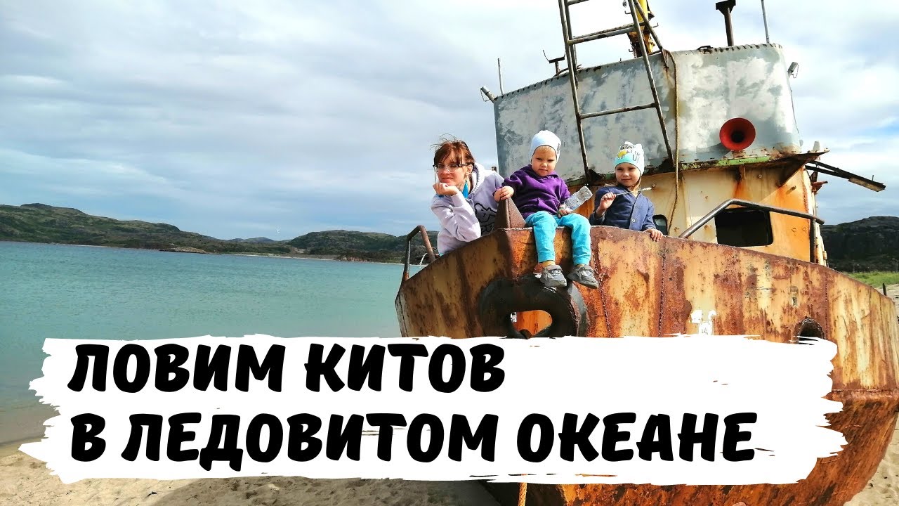 Охотимся на Китов в Северном Ледовитом Океане. Териберка. Мурманск. Путешествия по России на Машине