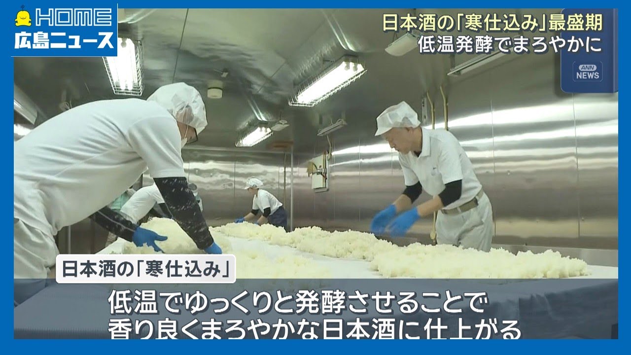 【創業170年】日本酒「寒仕込み」最盛期 広島・呉市の老舗｜HOME広島ニュース