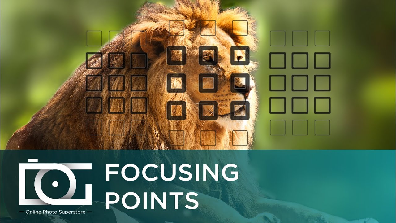 CANON 80D EOS DSLR Camera  | Focusing Points TUTORIAL