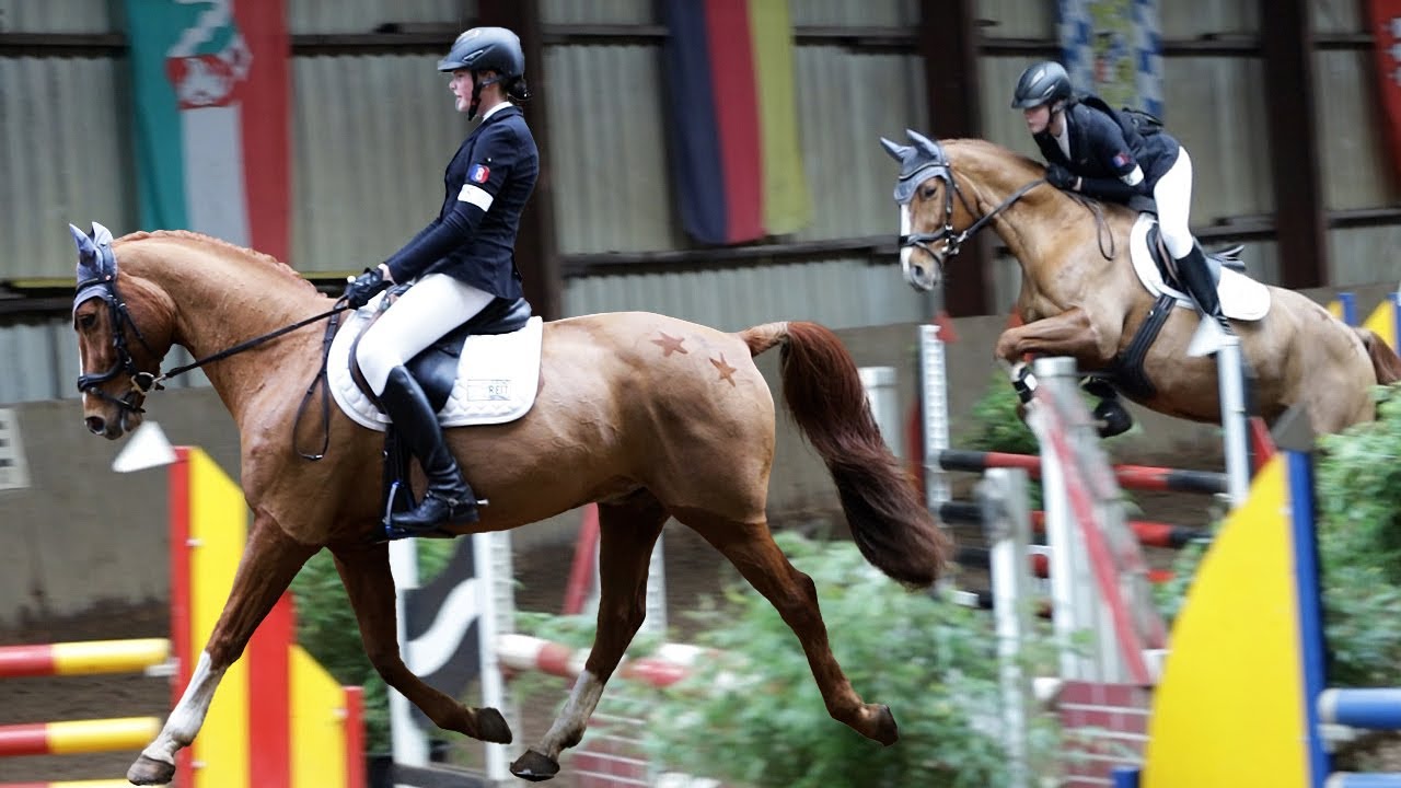 Reitabzeichen Prüfung für die nächste Leistungsklasse - Lehrgang im Reitsportzentrum Brundiers
