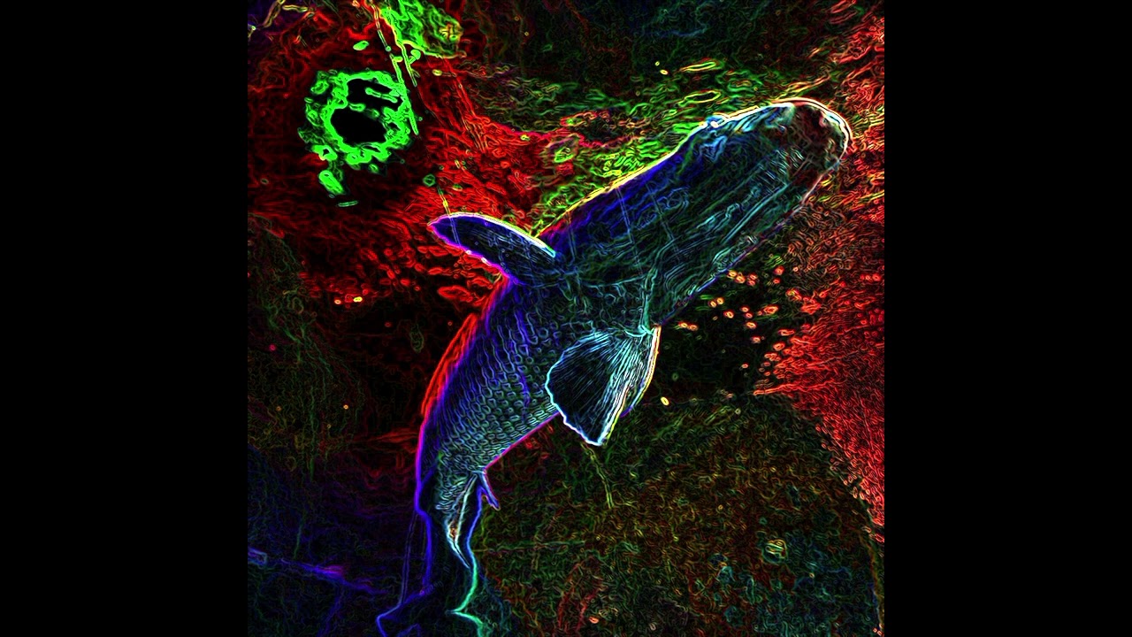 Her