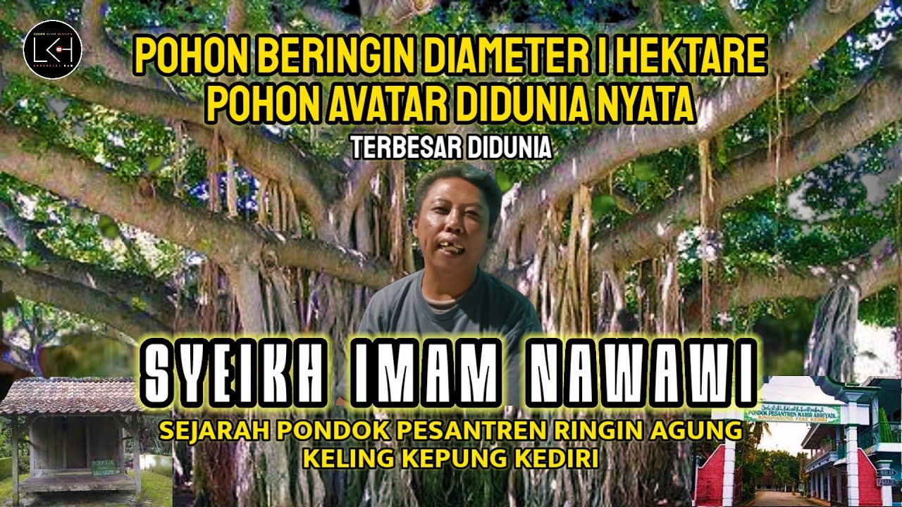 Subhanalloh | Pohon Beringin Terbesar Didunia Cikal Bakal Ponpes Ringin Agung Pare  Kediri