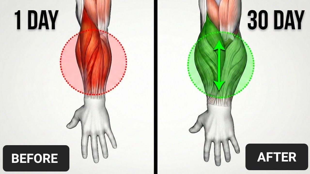 8 Easy Exercises to Improve Hand Grip Strength