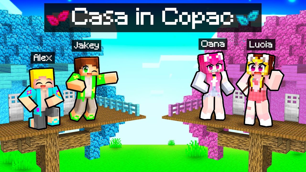 Casa in COPAC de *FETE vs BAIETI* pe Minecraft...