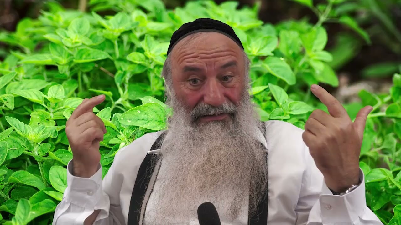Le secret inédit de la plante staatar ou Zaatar - L’origan