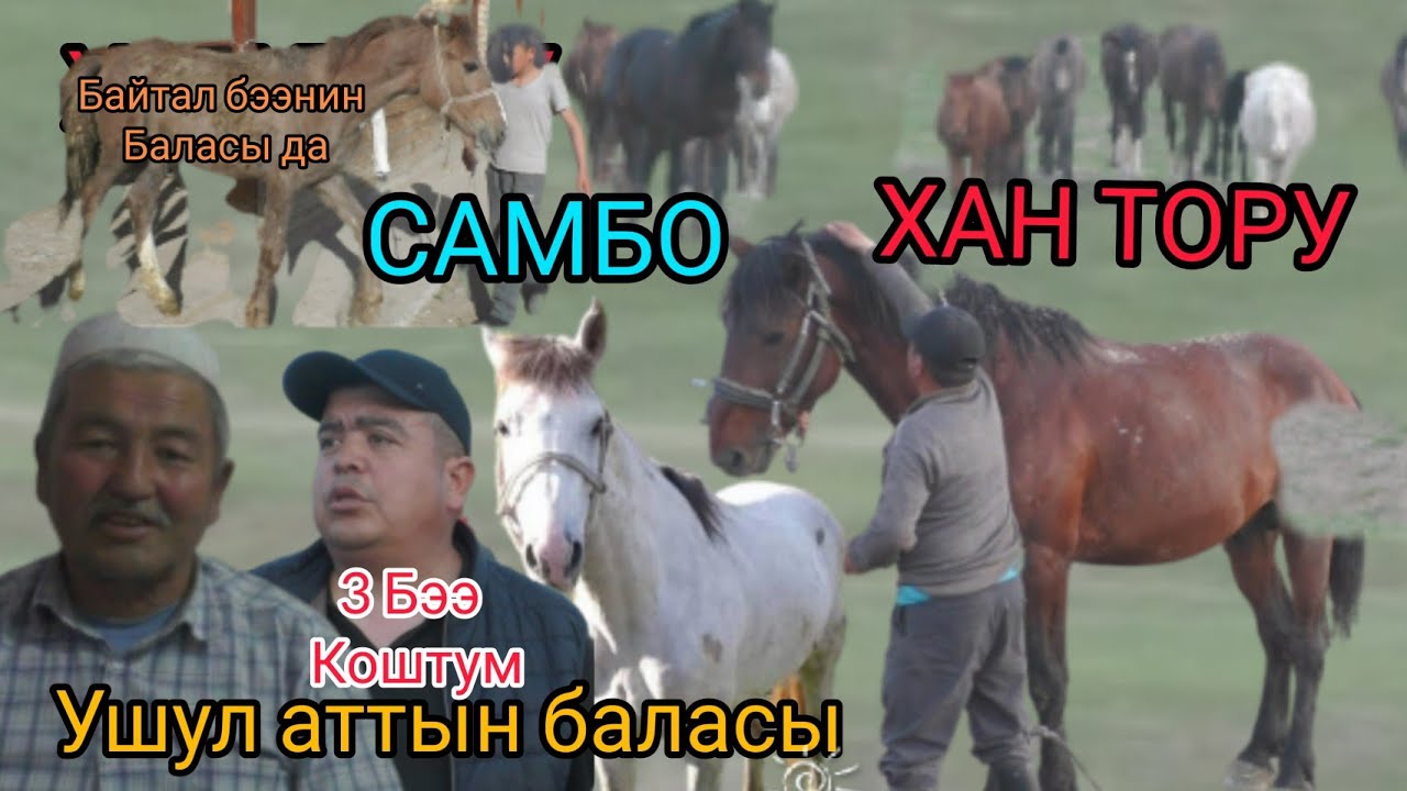Айтали ААЖЫНЫН аты