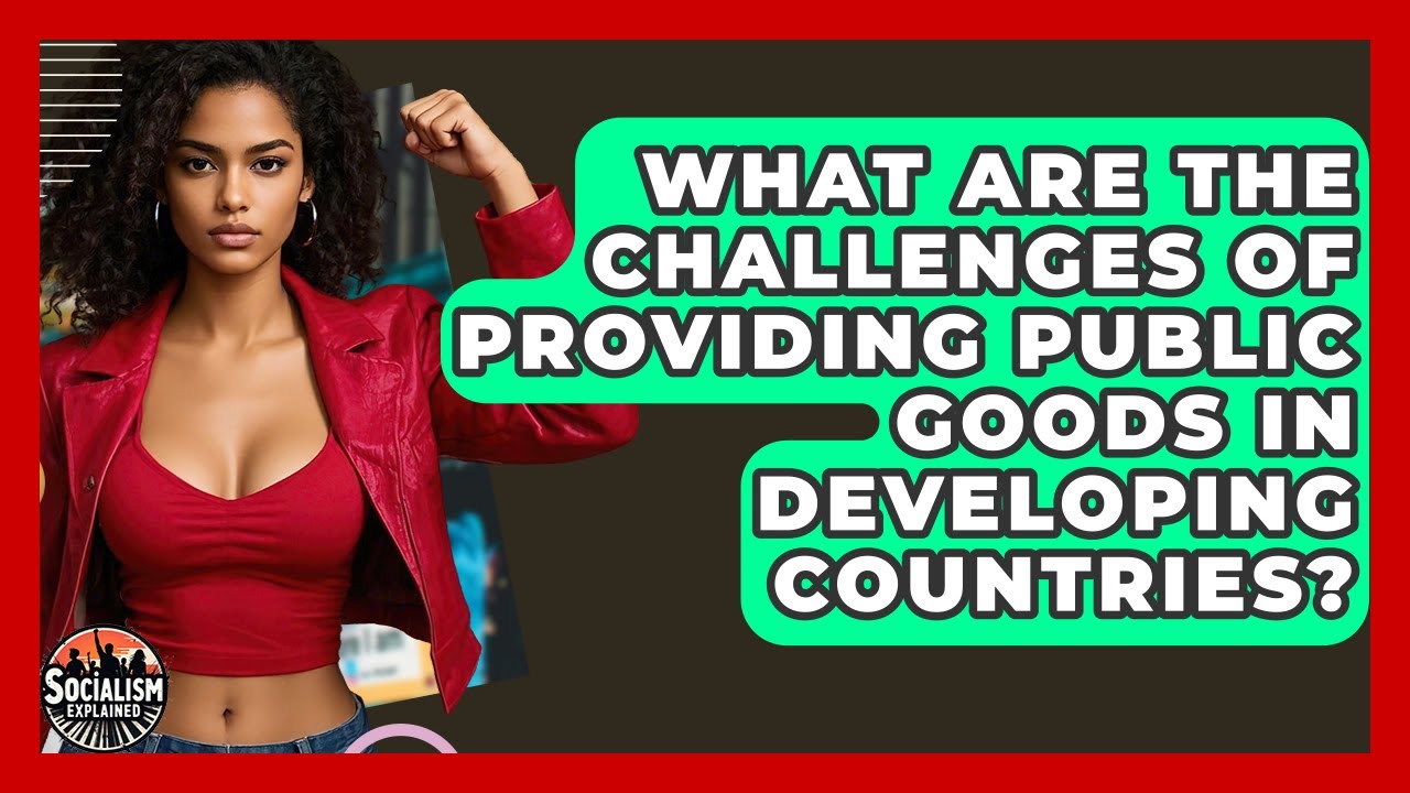 What Are The Challenges Of Providing Public Goods In Developing Countries? - Socialism Explained