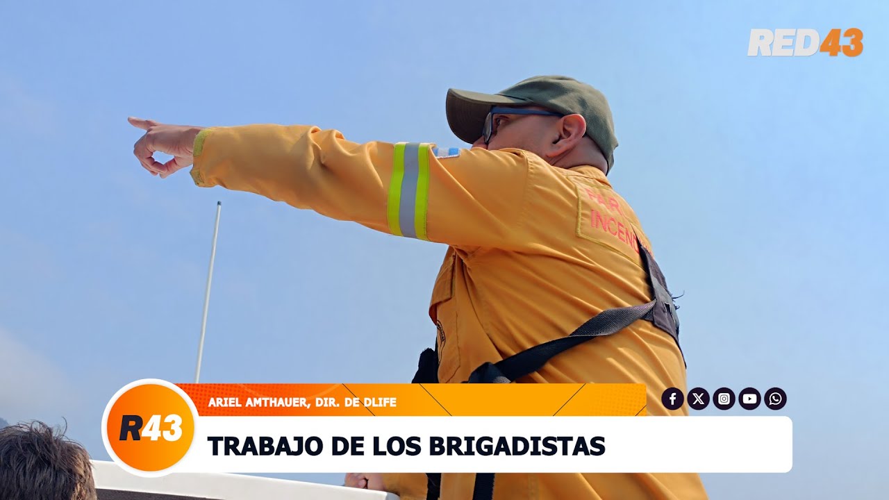 TRABAJO DE LOS BRIGADISTAS