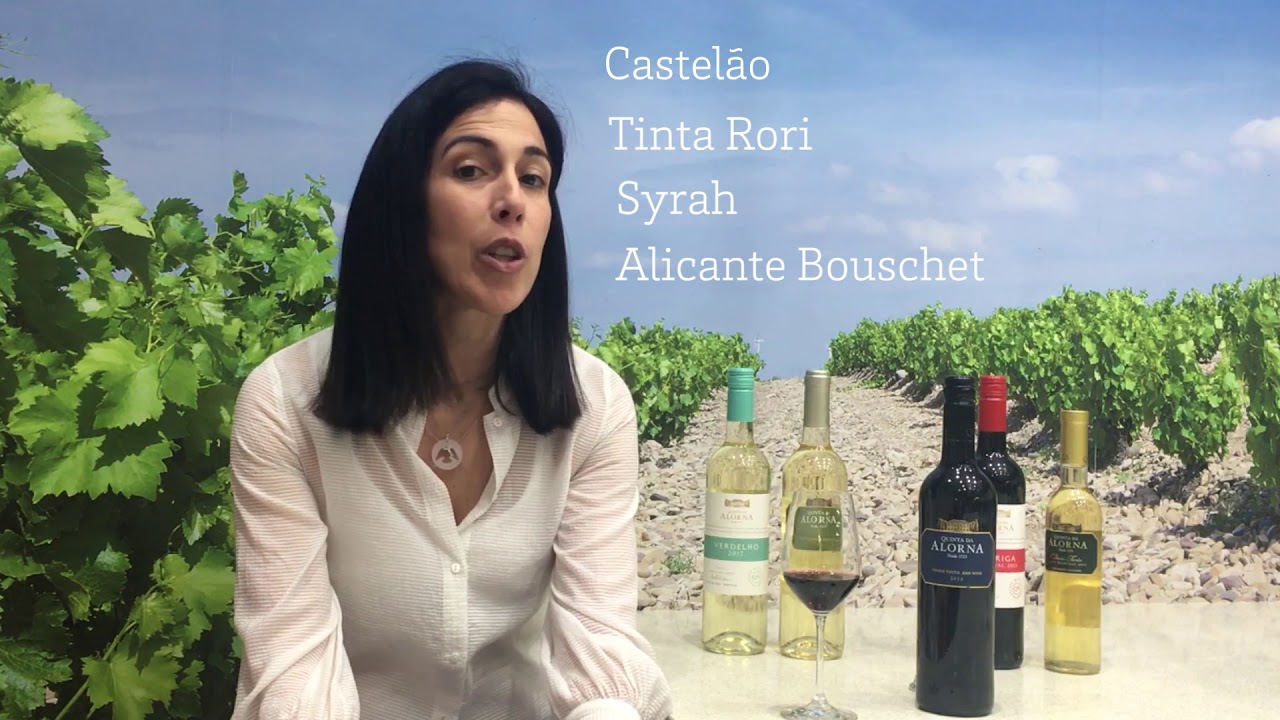 Quinta da Alorna, Tinto