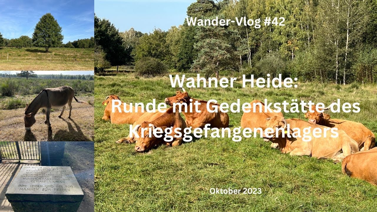 Wahner-Heide: Runde mit Gedenkstätte für das Kriegsgefangenenlager - Wander-Vlog #42 - Oktober 2023
