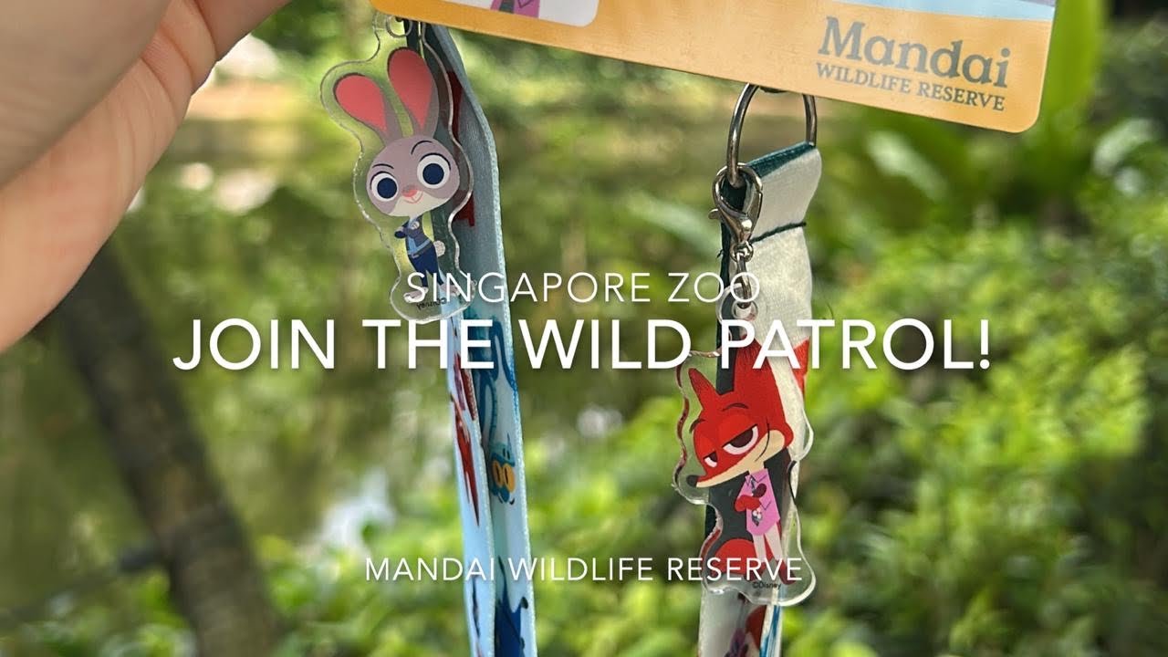 Discover Mandai | Singapore Zoo | Join the Wild Patrol! Zootopia 2 (18 November 2025) 