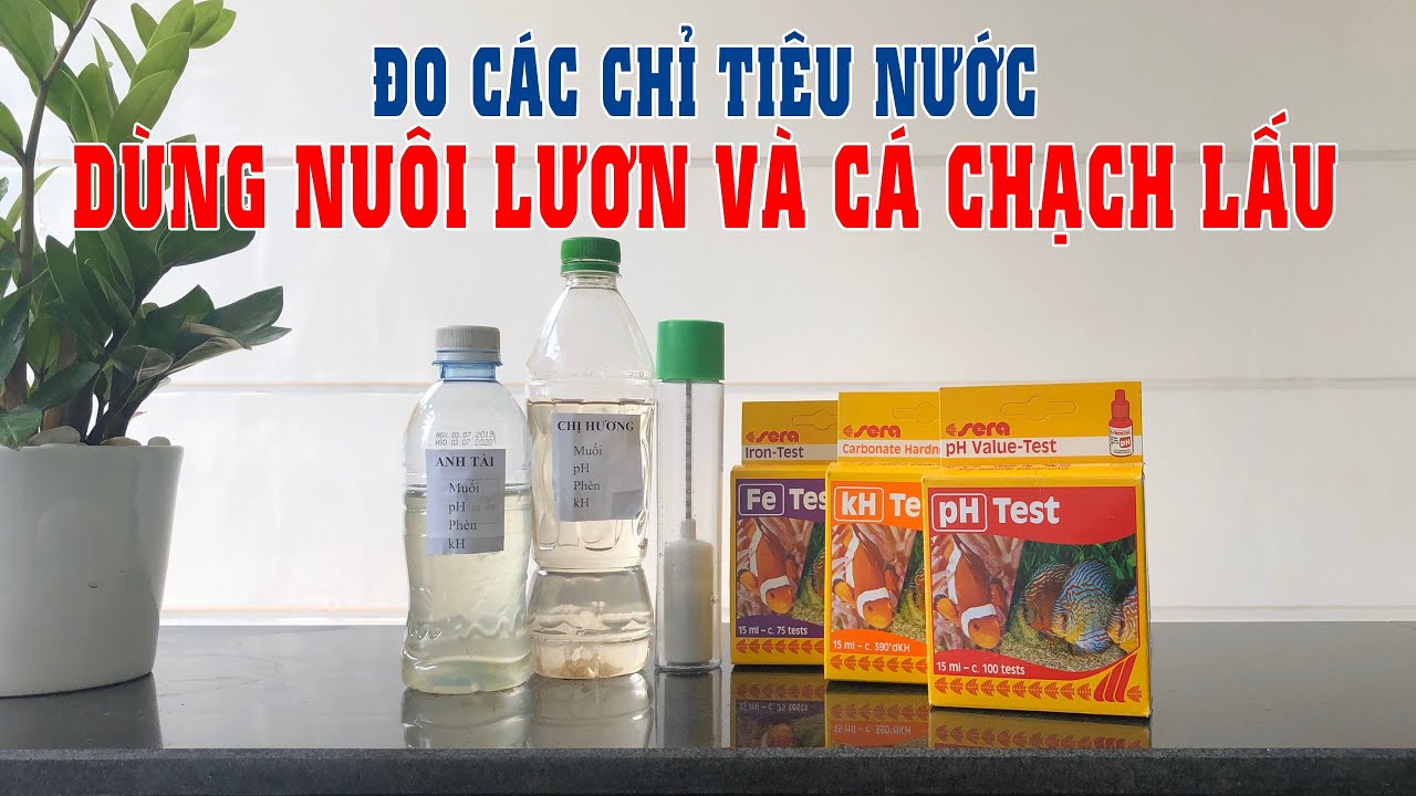 Cách kiểm tra các chỉ tiêu pH- kH-Fe và độ mặn nước ao nuôi