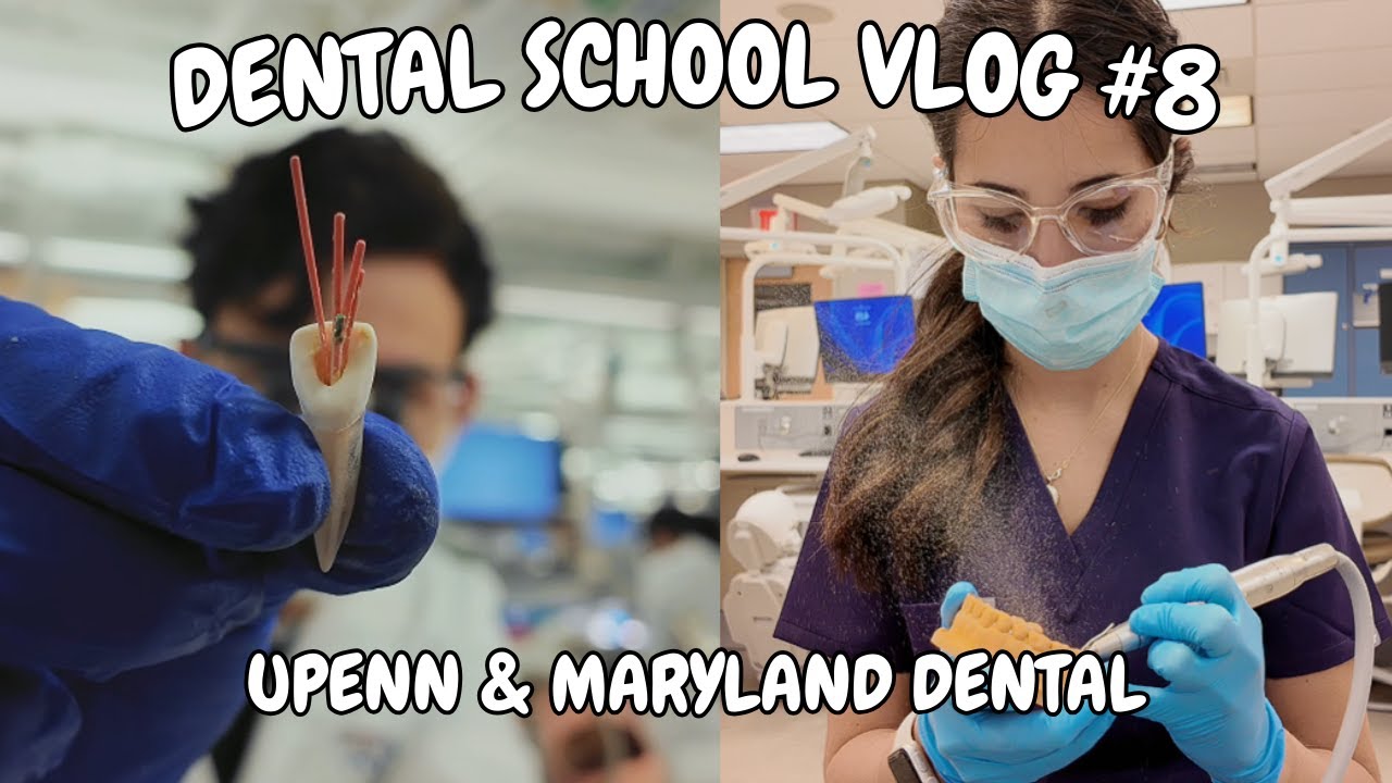 Dental School VLOG #8 | Fixed Prosth, Endo, & Suturing!