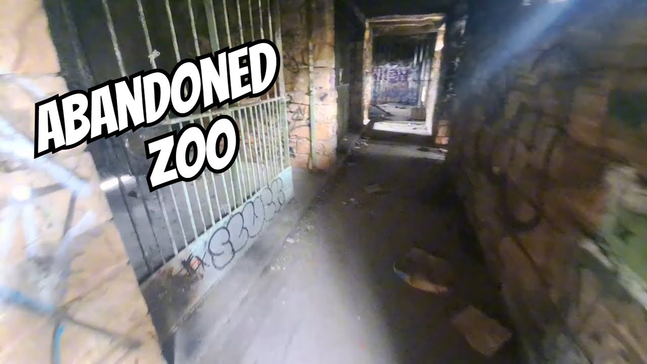 Exploring Cape Town’s Abandoned Zoo 🦁