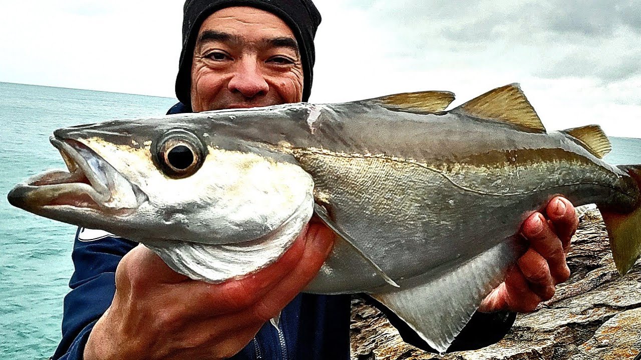 Pêche du bord au METAL JIG en mer