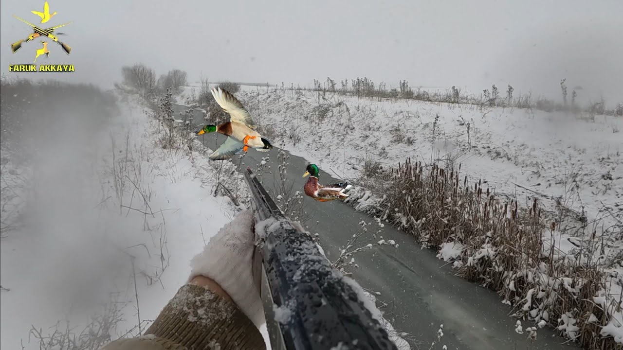 KAR FIRTINASINDA &Ouml;RDEK AVI (YEŞİLİ ZOR G&Ouml;RD&Uuml;M) DUCK HUNTING CHASSE AU CANARD УТИНАЯ ОХОТА صيد البط