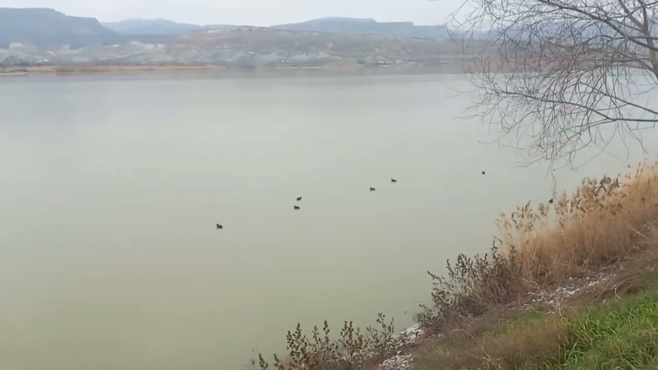 Çekme karavanımızda Bu kez de Nallıhan Çayırhan karavan Kamp alnın dayız 08/02/2026