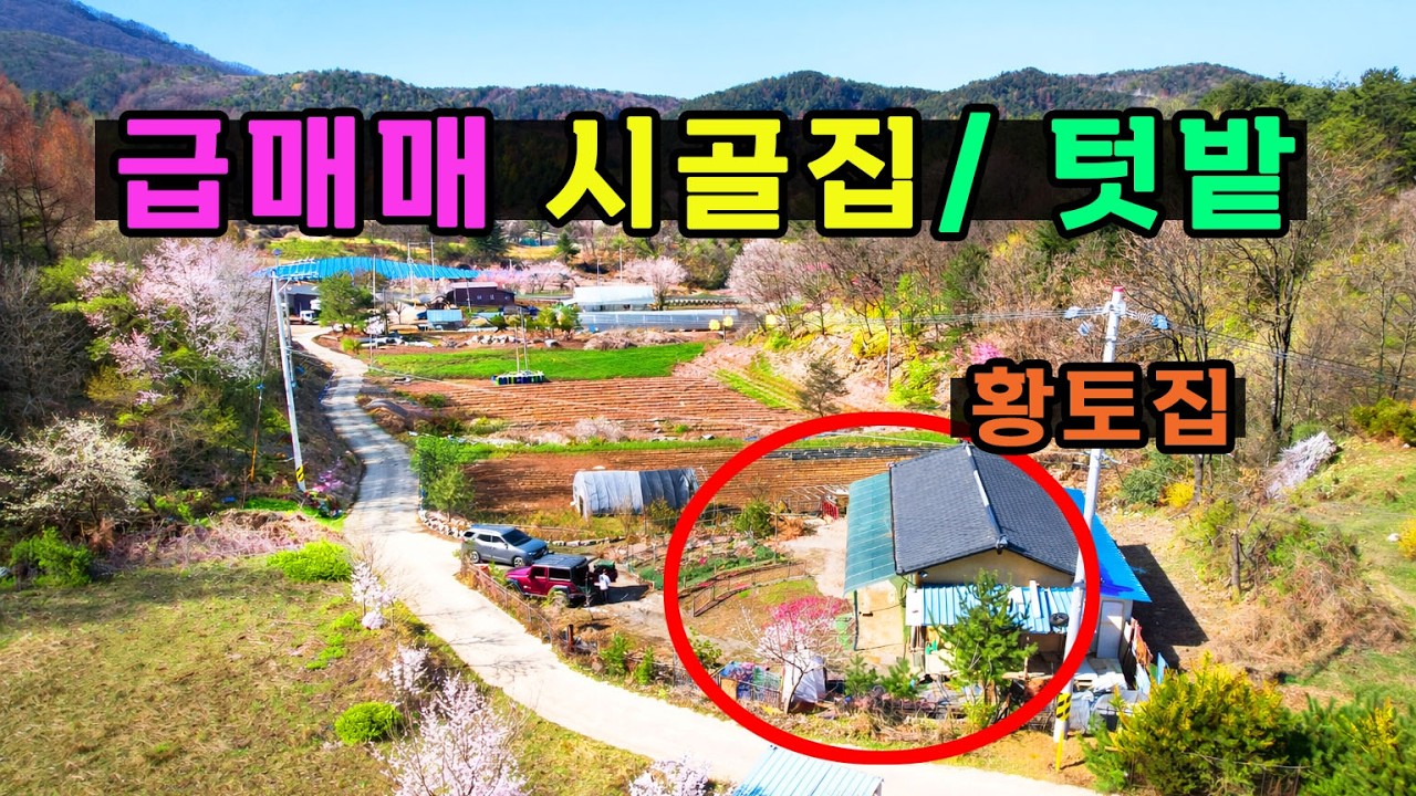 (급매매) 홍천 시골집하고 넓은텃밭이 🔸급매가🔹로 나왔네유~