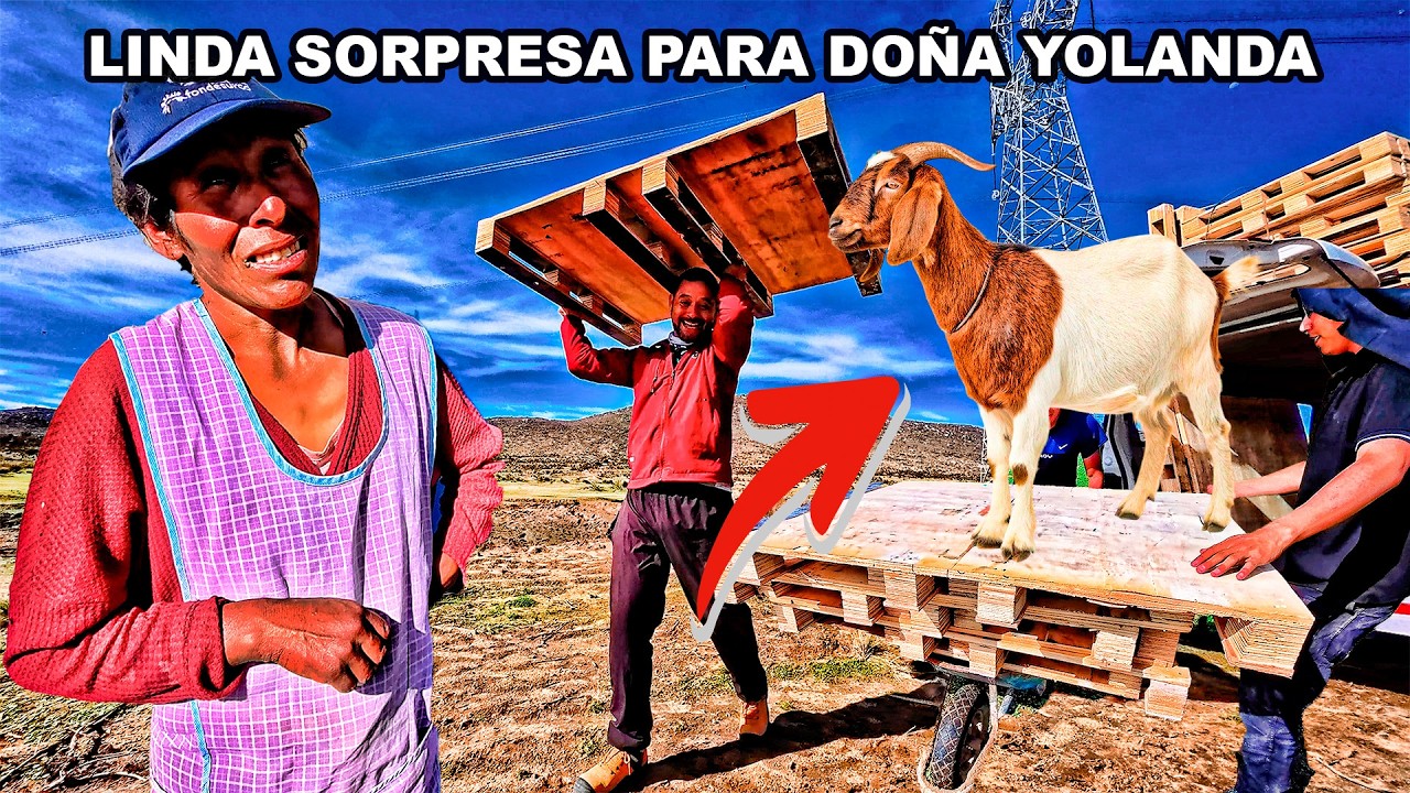 ¡NO CREERÁS LO QUE HICIMOS! 30m2 de Palets para corral de CABRAS | Doña Yolanda 