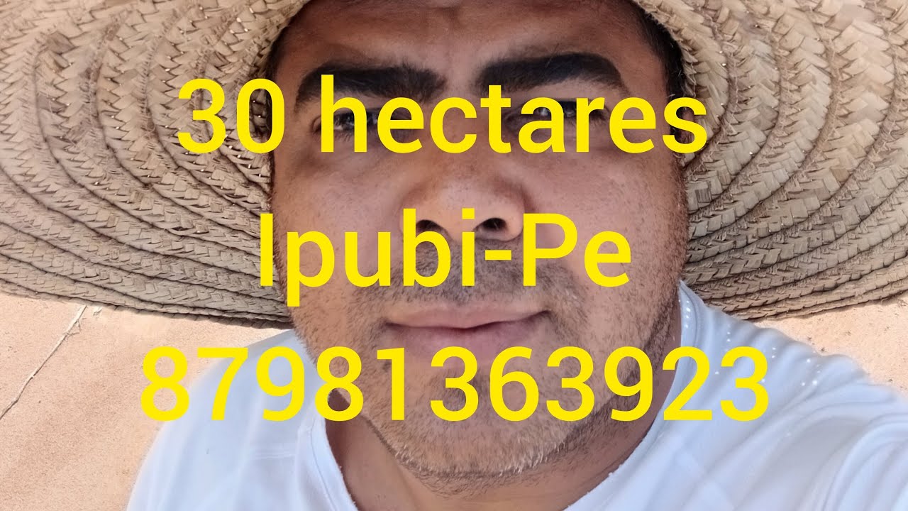 Olha que maravilha, essa ta bem em conta. 140 mil.