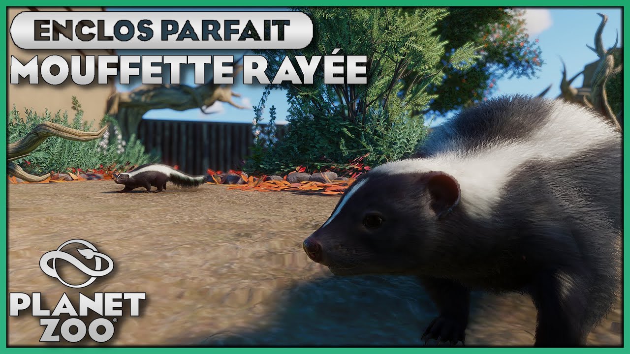 Enclos de la Mouffette ray&eacute;e | LES ENCLOS PARFAITS : &Eacute;PISODE 107 | PLANET ZOO