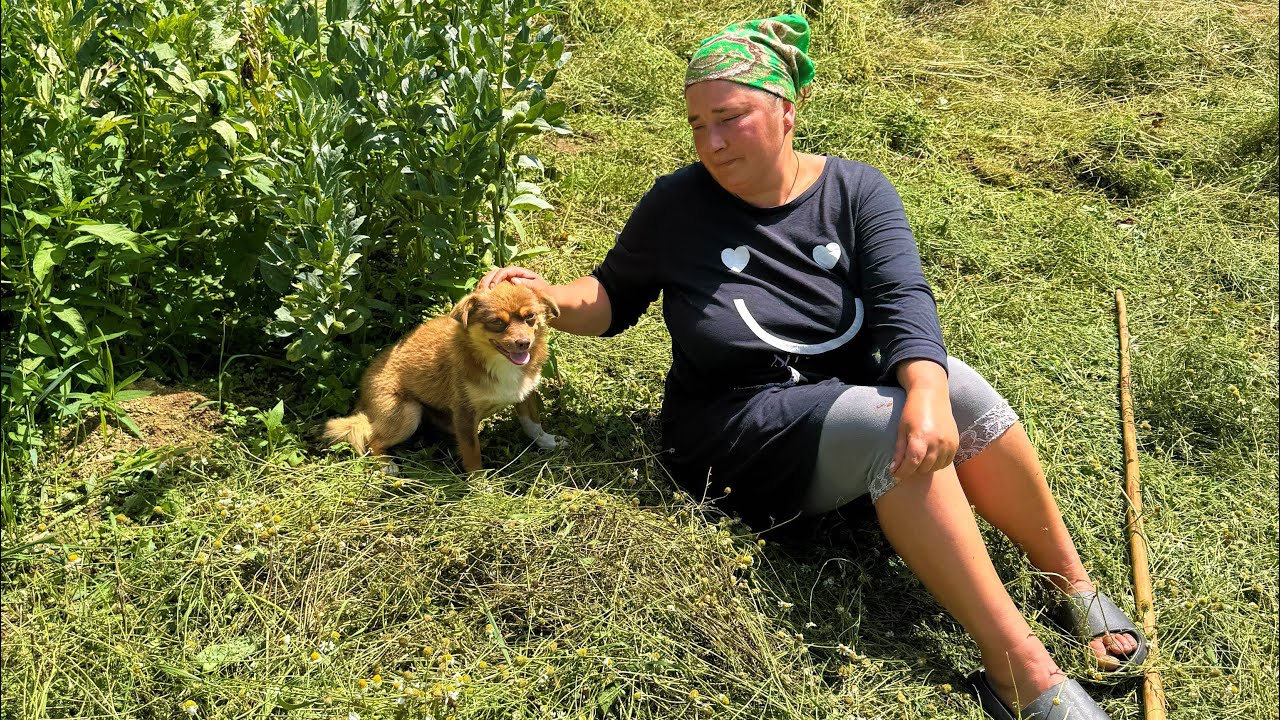 Tamara&rsquo;s Peaceful Life in the Mountains &mdash; A Beautiful Day in a Remote Ukrainian Village