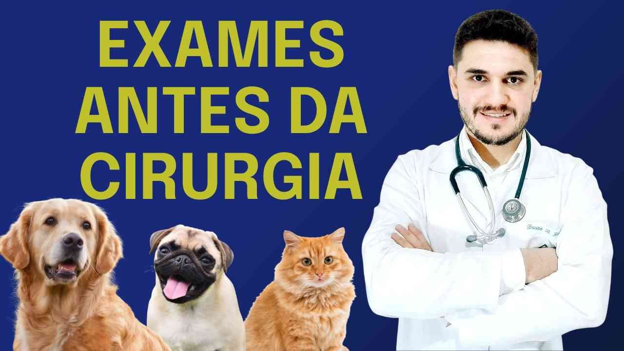 EXAMES PRÉ-OPERATÓRIOS EM CÃES E GATOS