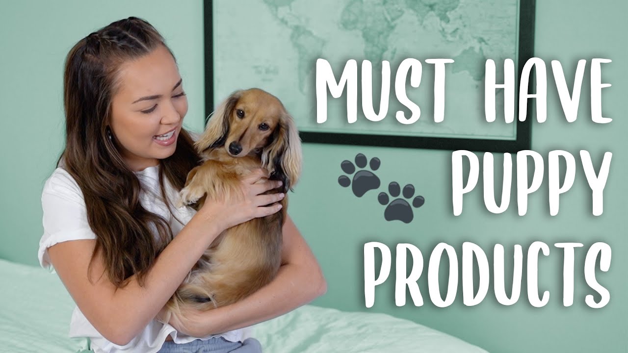 My Favourite Puppy Products - Products I Used For My Puppy or Wish I Had Sooner!