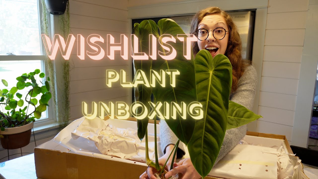 Ecuagenera Plant Unboxing!