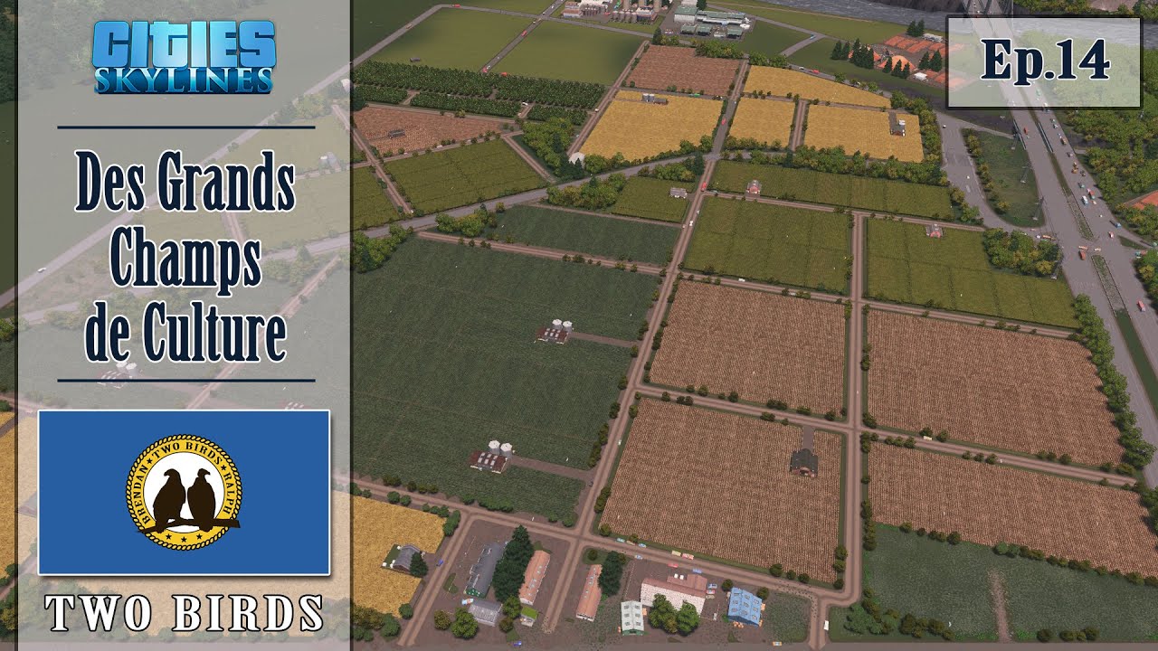 CITIES SKYLINES - 🦅 TWO BIRDS 🦜 : Comment faire des grands champs de culture