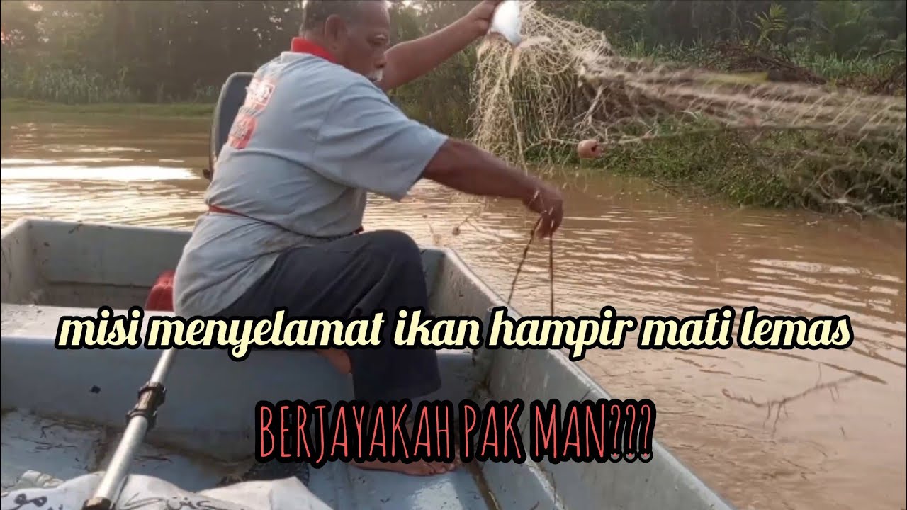 MUSIM BARU.. Berjayakah pakman menyelamatkan ikan ini disungai??#srift#slimriver