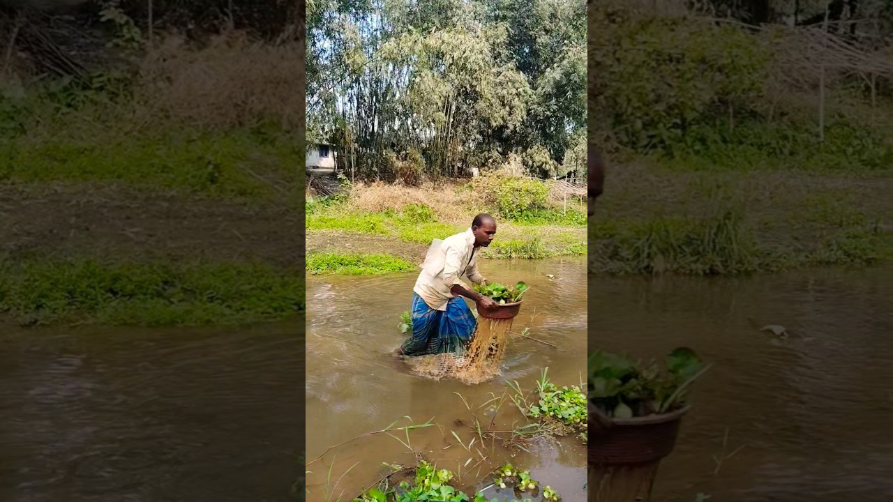 #unige #fishing #shortvideo