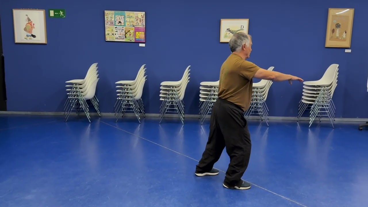 Tai Chi Forma Corta   HD 1080p