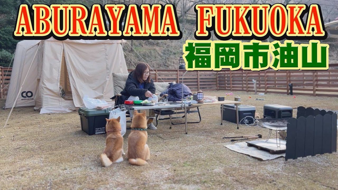 【完結編】ドッグランサイトに、わんこも大はしゃぎ！！最高のキャンプ場でした【ABURAYAMA FUKUOKA】