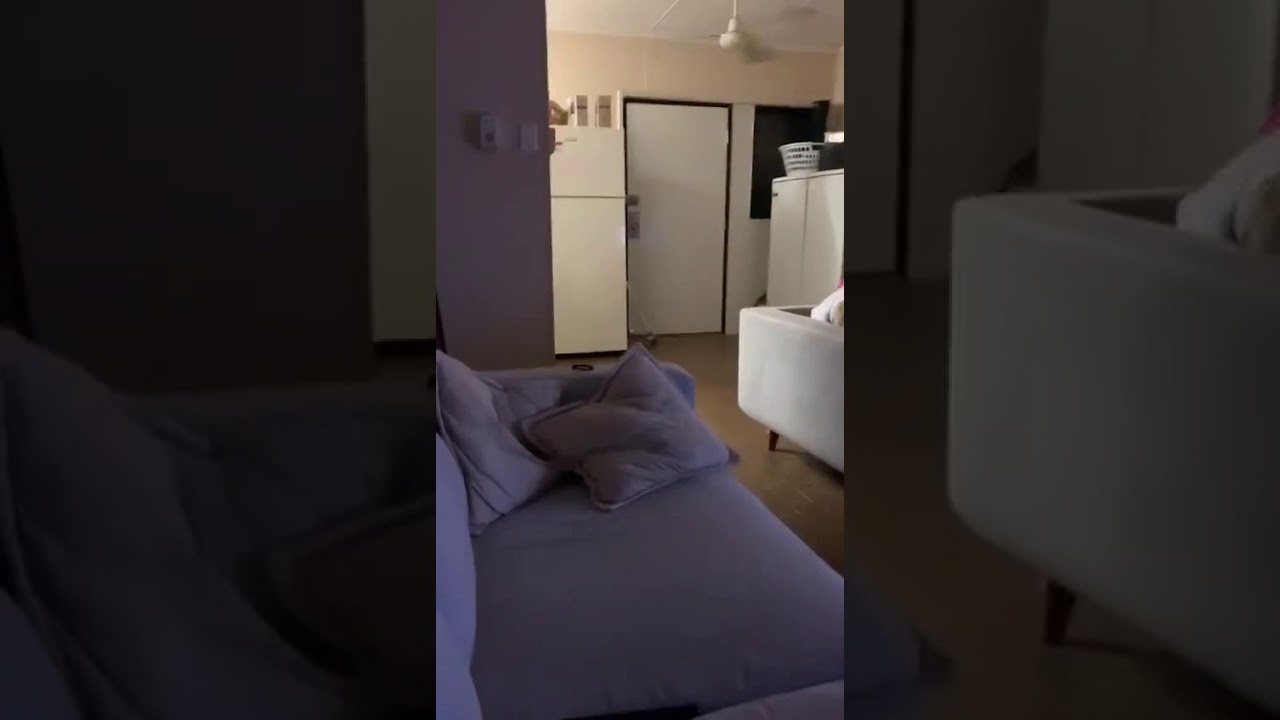 Snake in the kitchen .. pretend snake and a snakeophobic